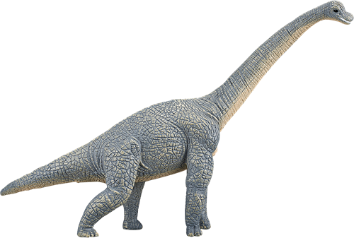 Mojo speelgoed dinosaurus Brachiosaurus - 387044