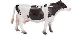 Mojo Farm speelgoed Holstein Koe - 387062