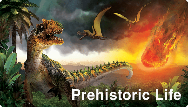 Mojo Toys Prehistoric Life Banner